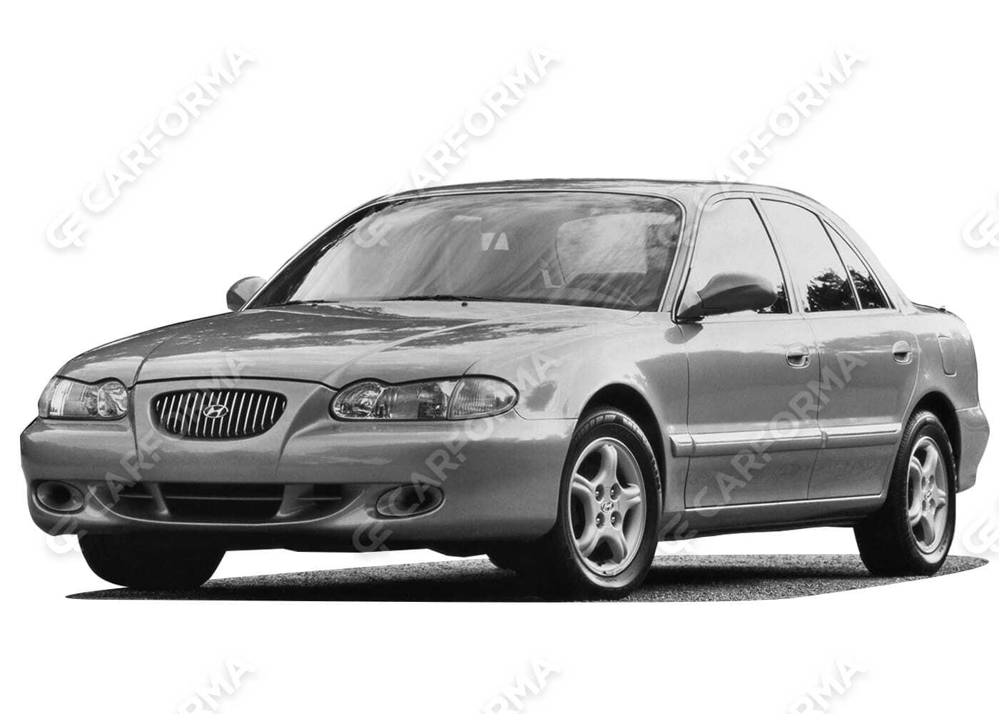 Ворсовые коврики на Hyundai Sonata 3 (Y3) 1993&nbsp;-&nbsp;1998