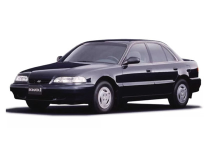 Ворсовые коврики на Hyundai Sonata 3 (Y3) 1993&nbsp;-&nbsp;1998 в Стерлитамаке