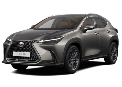 Ворсовые коврики на Lexus NX II 2021&nbsp;-&nbsp;2026 в Стерлитамаке
