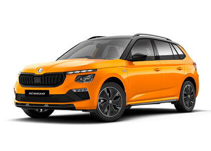 Ворсовые коврики на Skoda Kamiq (Европа) 2019&nbsp;-&nbsp;2026 в Стерлитамаке