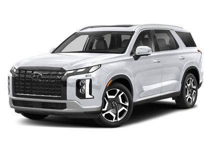 Ворсовые коврики на Hyundai Palisade 2018&nbsp;-&nbsp;2026 в Стерлитамаке