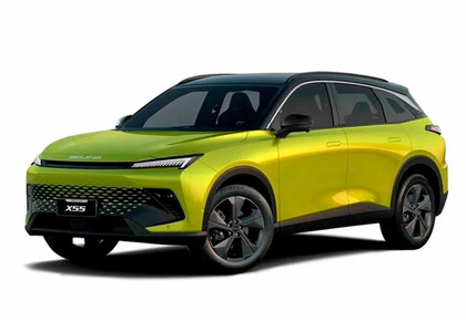 Ворсовые коврики на Baic X55 2022&nbsp;-&nbsp;2026 в Стерлитамаке