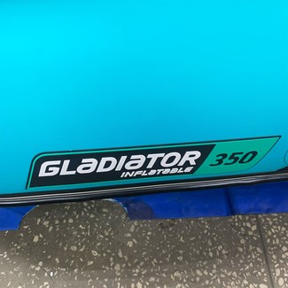 Ворсовые коврики на Лодки Gladiator E350S  в Стерлитамаке