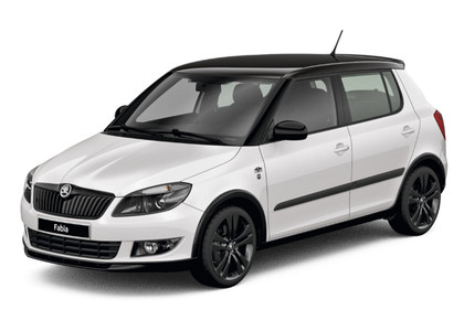 Ворсовые коврики на Skoda Fabia II 2007&nbsp;-&nbsp;2015 в Стерлитамаке